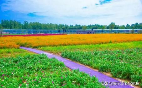 鄢陵温泉旁边有什么玩的,鄢陵泡温泉省钱攻略