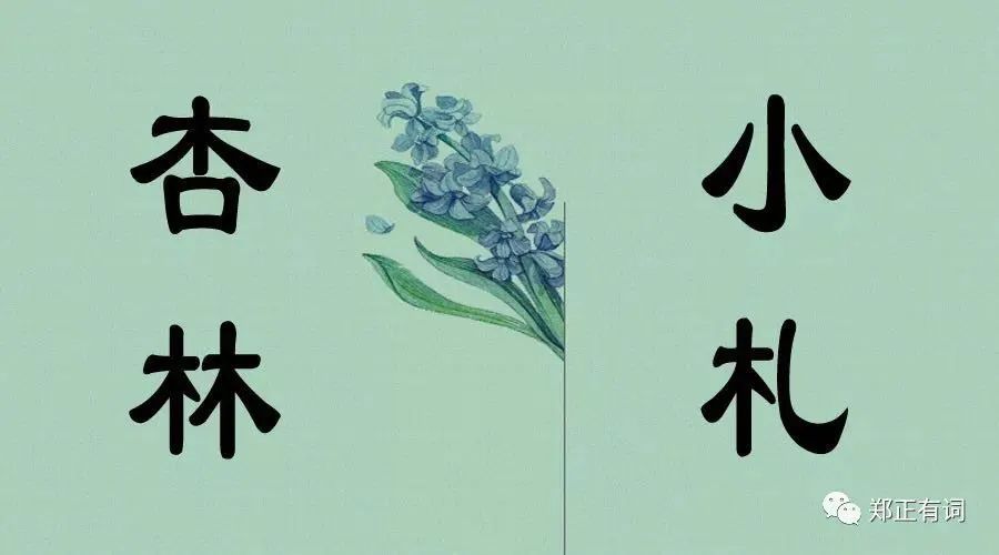 提高肺癌免疫力的中药,什么中药可以提高肺部的免疫力