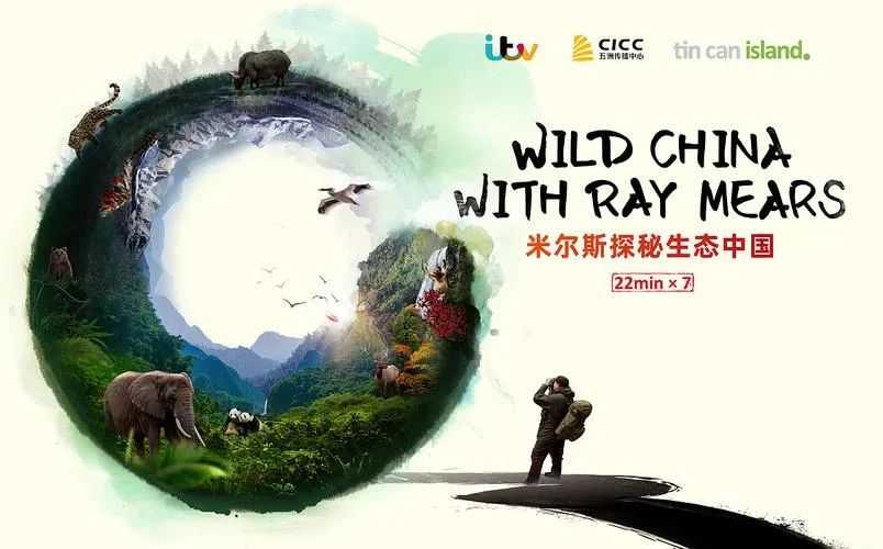 观察九丨多元协同齐发力，2021年纪录片制作机构表现盘点