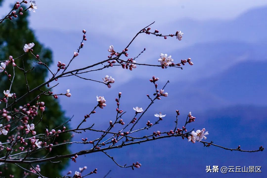 宫崎骏天空之城风景,宫崎骏的天空之城美景