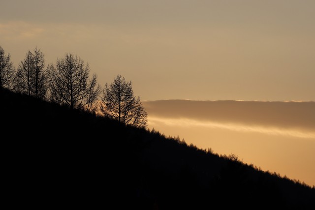 崇礼万龙滑雪场的介绍,崇礼万龙滑雪场