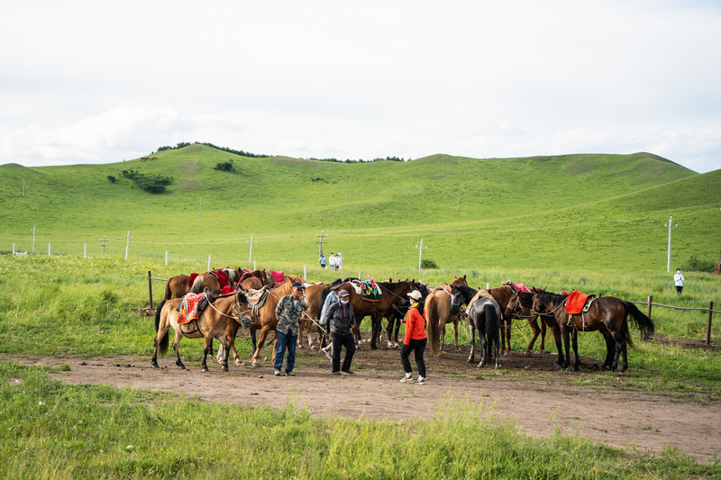 赤峰周边最美的公路,赤峰中国草原自驾游旅游胜地