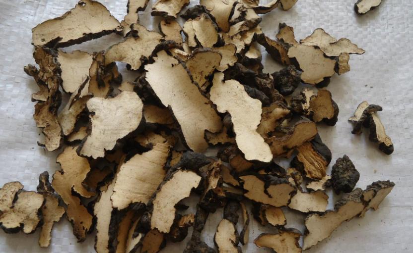 头部爱出汗,一吃饭更是汗如雨下?送你一方,清热利湿,专治头汗