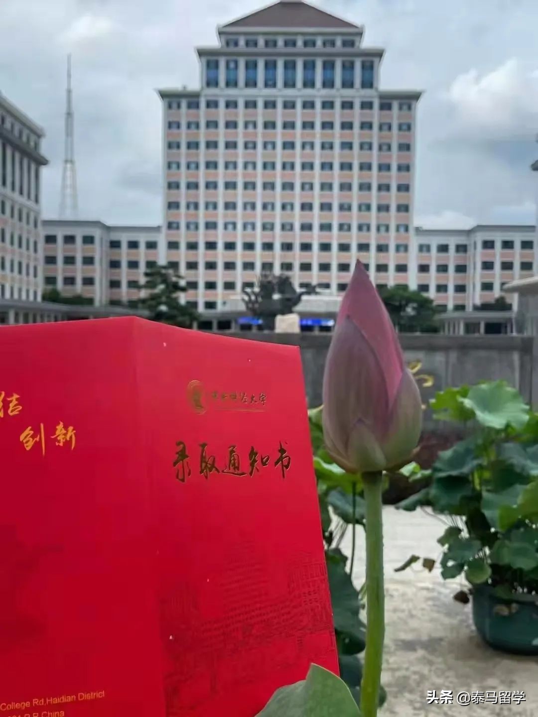 中央财经大学保险学院国际本科,中央财经大学保险学院3+1国际本科