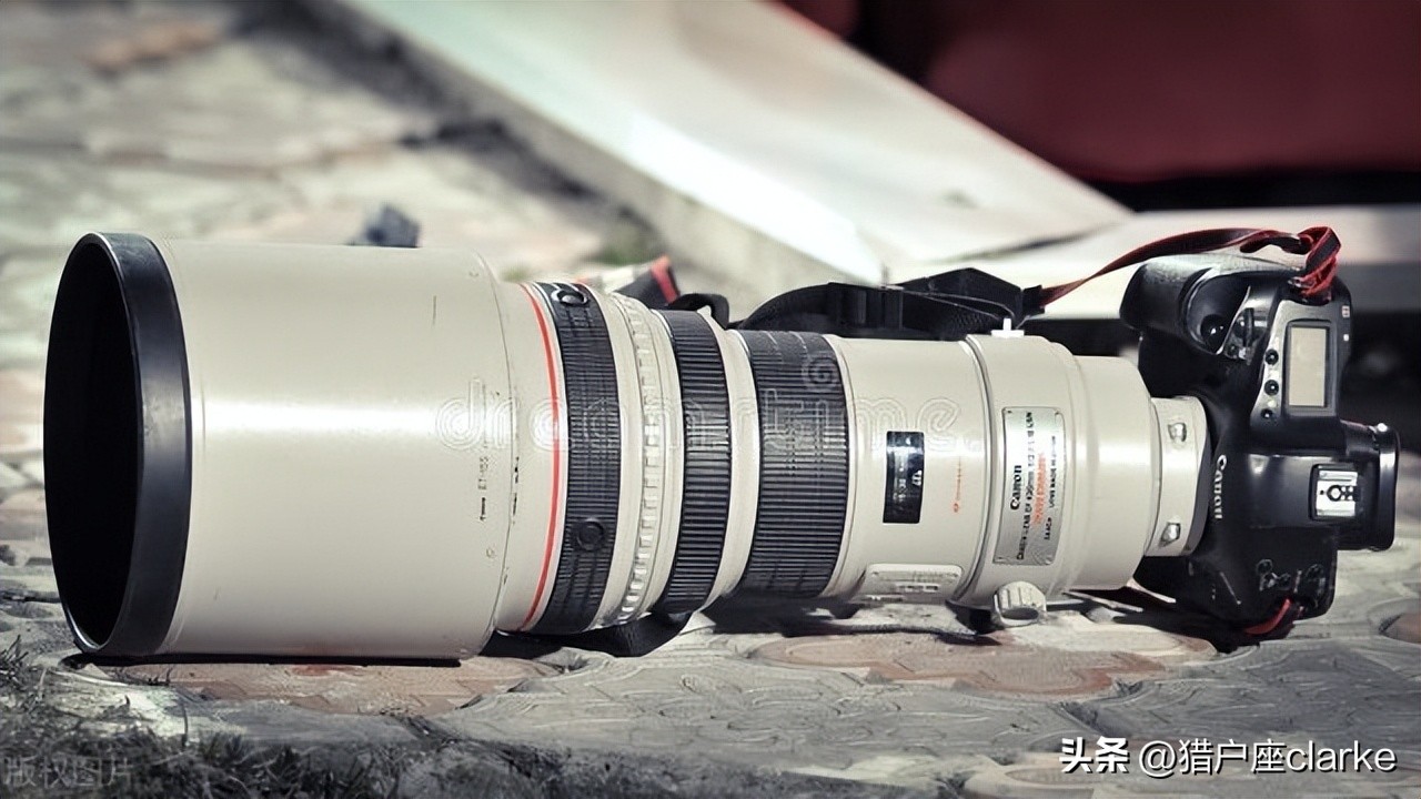 尼康d1x对比佳能eos6d,佳能6d和尼康d6测评对比