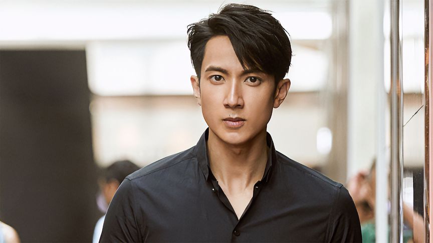 十大经典电视剧美男,中国电视剧最帅的十大绝色美男子