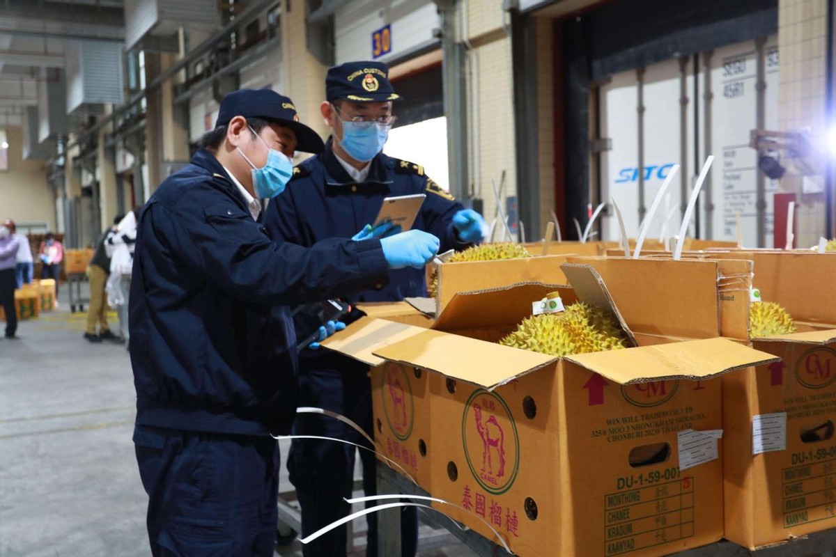 越南榴莲引入中国，泰国垄断地位恐成过去式？榴莲自由又进一步