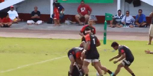 80张神奇偶然瞬间，环形闪电，海蛇和最毒石斑鱼互咬，骑骆驼拍照