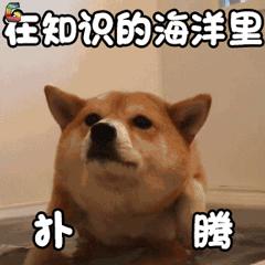 韩国四大影后的电影,44届韩国青龙电影奖影后