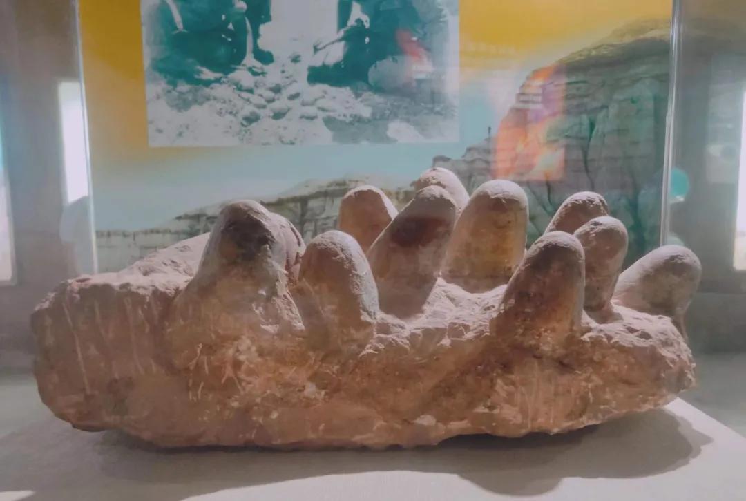 最后通高铁的城市！不是杭州却有“千岛湖”，真·美食宝藏小城