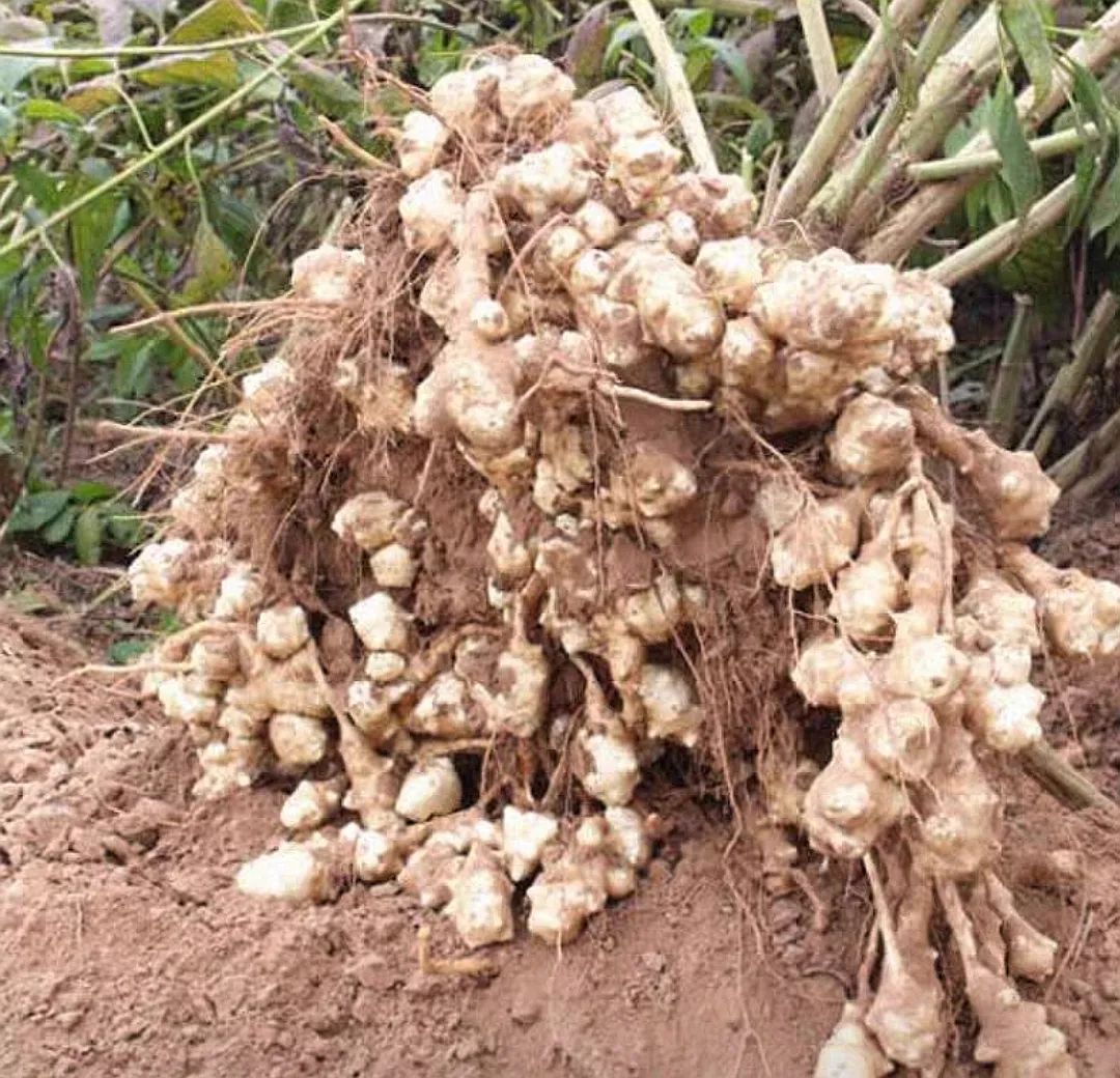 爱恨情仇电视剧,爱恨红尘中演唱视频