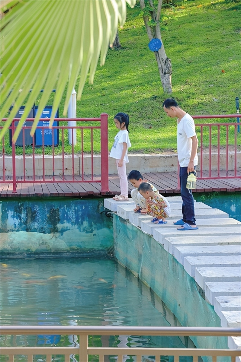 三亚丰兴隆党群主题公园平面图,三亚市丰兴隆党群主题公园