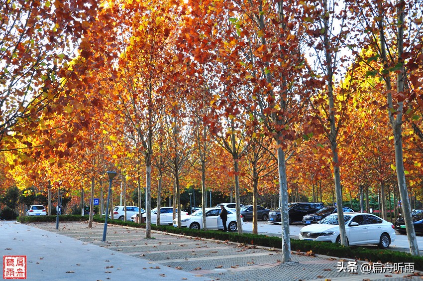 7月郑州凉快遛娃公园排行榜,郑州龙子湖避暑遛娃的地方