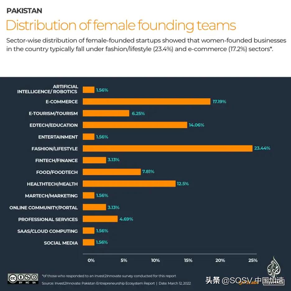 巴基斯坦投资回报,巴基斯坦融资情况