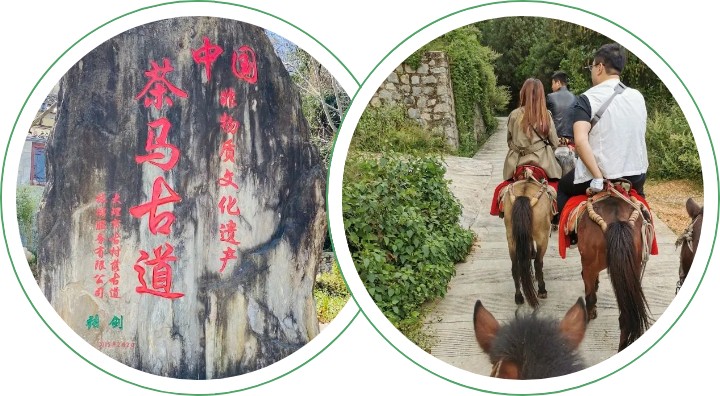 丽江风情之旅6天5夜,4天3晚丽江之旅