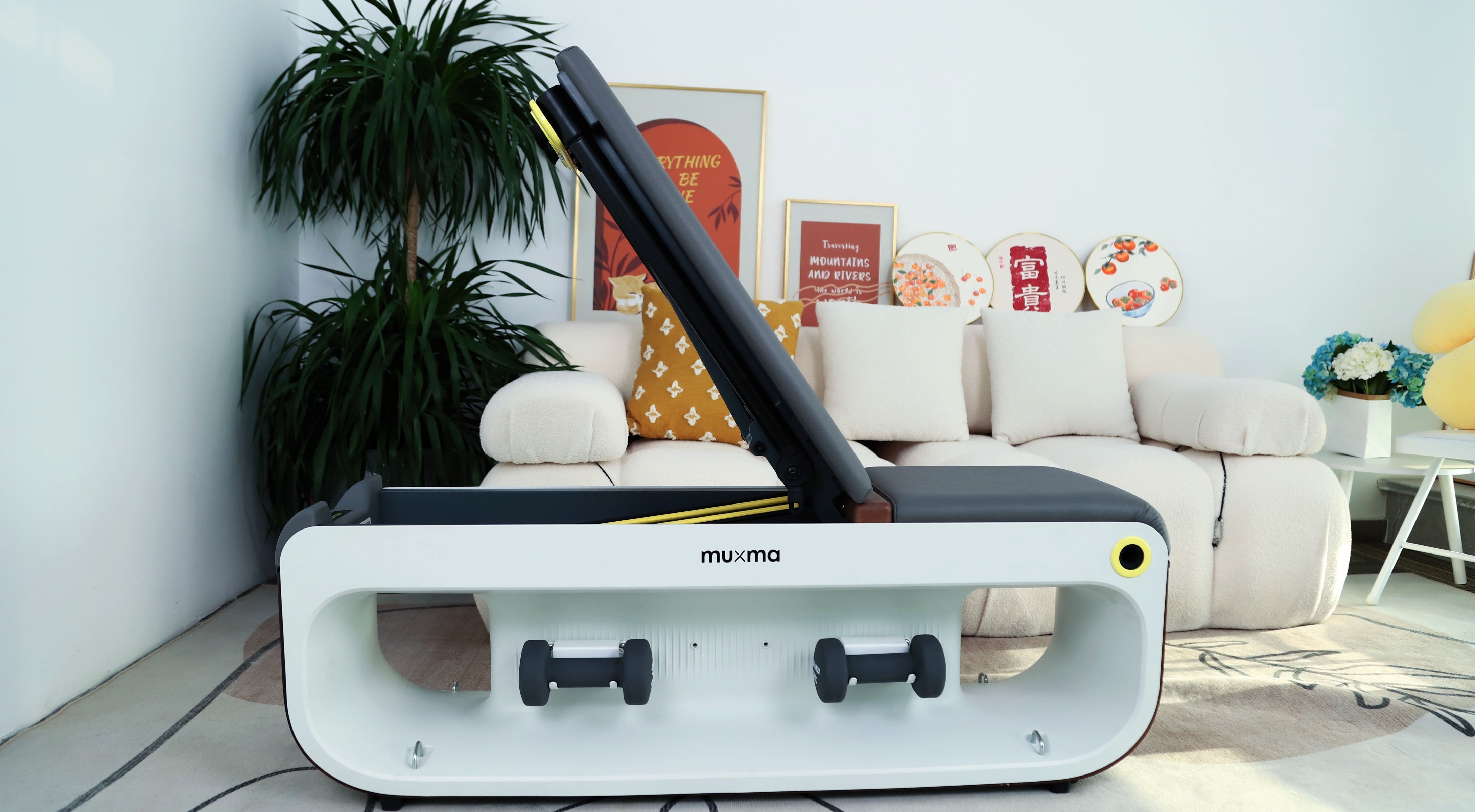 沐小马活力健身凳使用方法,小米有品沐小马健身凳价格