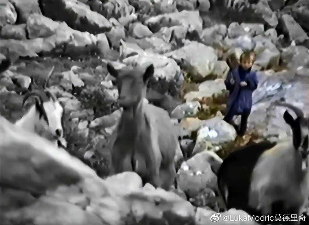 卢卡莫德里奇相当于中场什么水平,世界第一中场卢卡莫德里奇