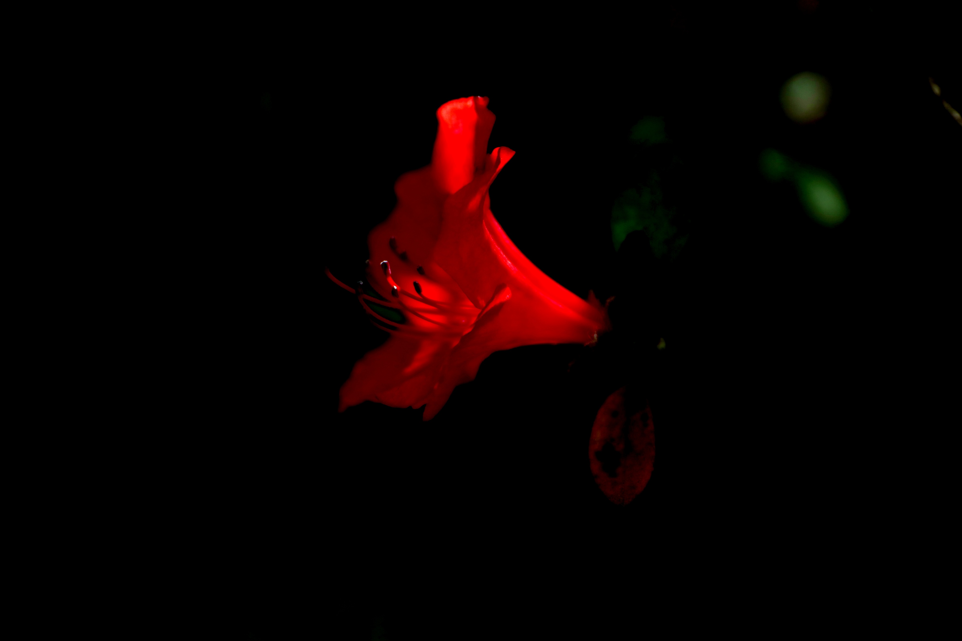 最美五四青年节的图片,五四青年节祝福动图表情