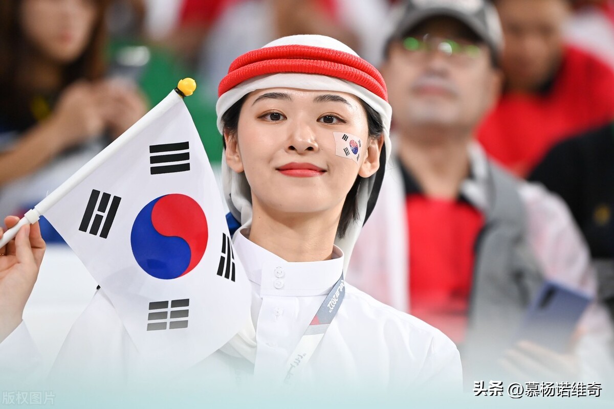 卡塔尔世界杯淘汰结束语,卡塔尔世界杯遗憾告别