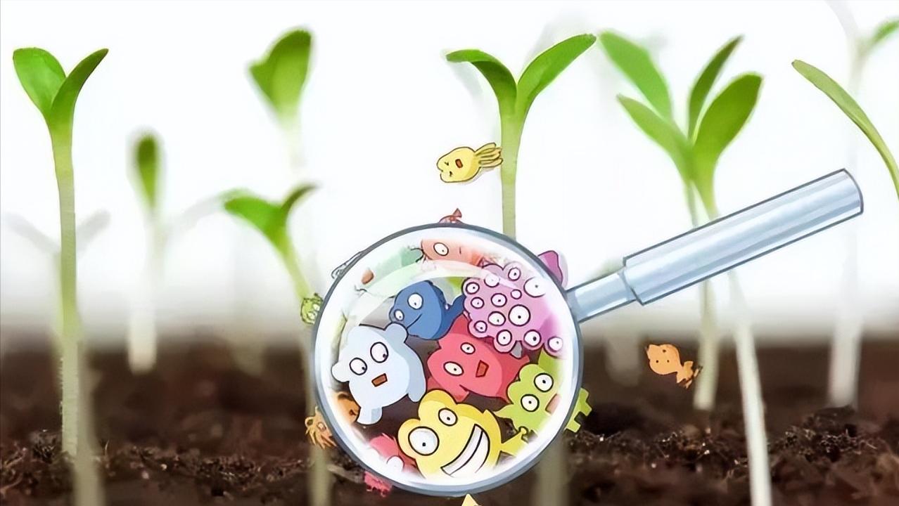 易招蚊子是什么原因,来例假更容易招蚊子