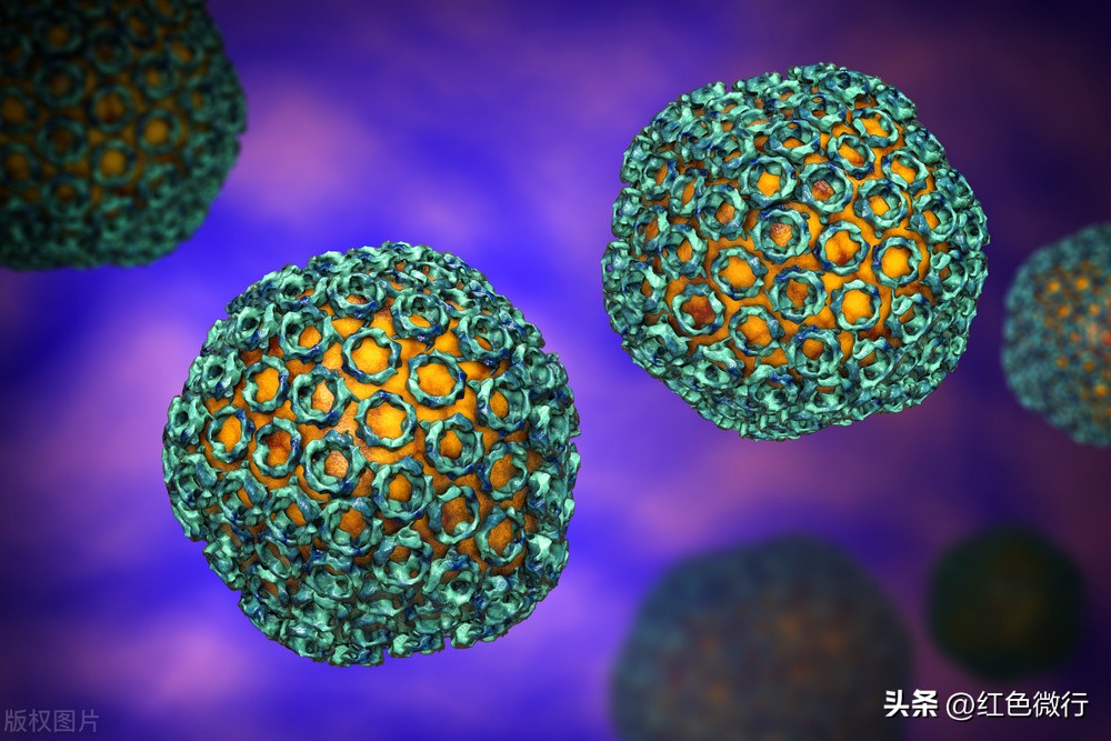 可怕十大病毒,和人类和平共处的病毒