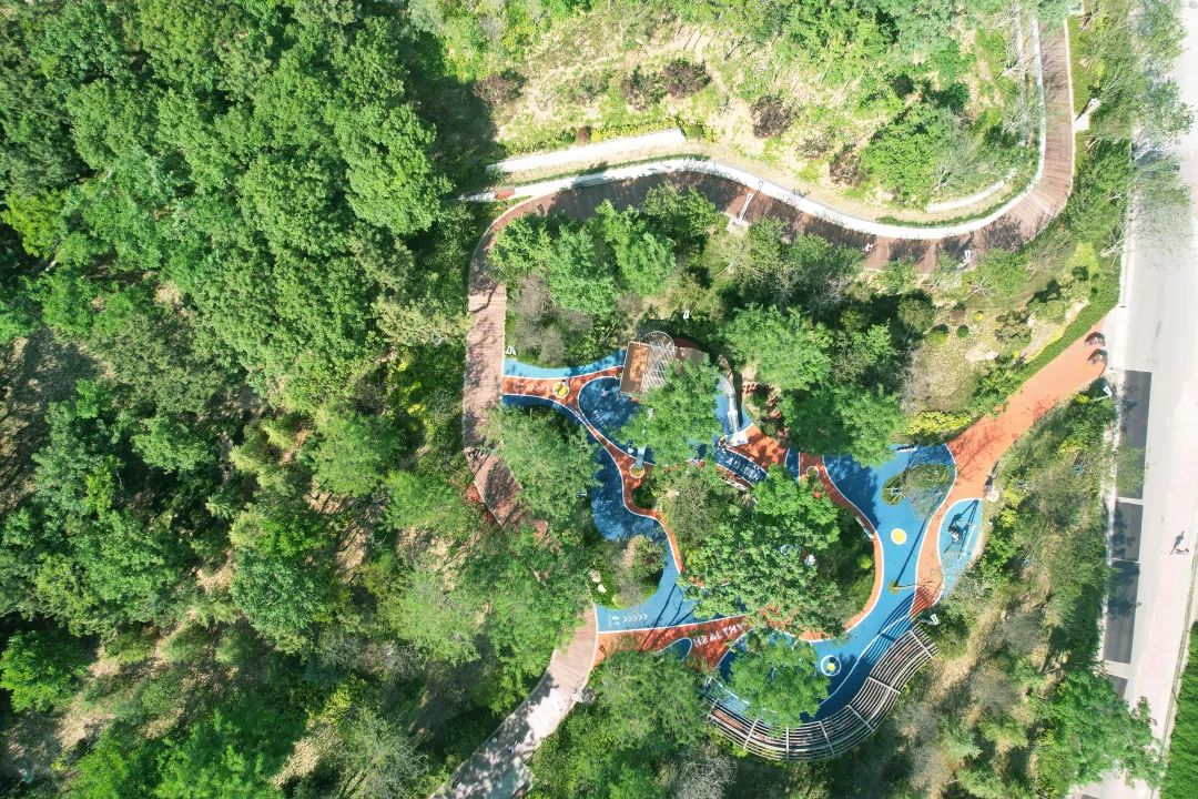 青岛浮山森林公园好玩吗,青岛浮山森林公园开放时间