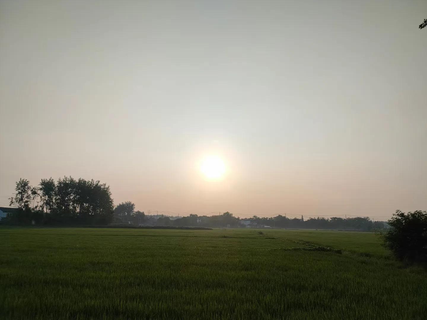 农村人是最美的劳动人,农民是最轻松的职业