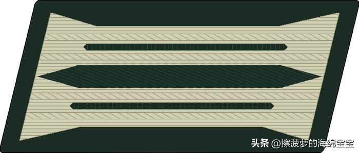 二战德国国防军医疗兵军衔标志