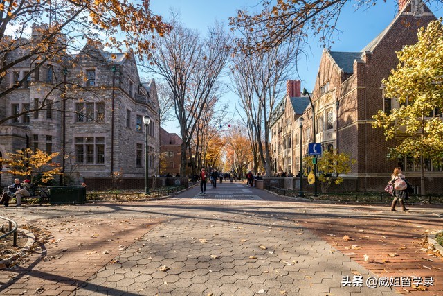 美国大学转学数据分析,美国转学分数线是多少