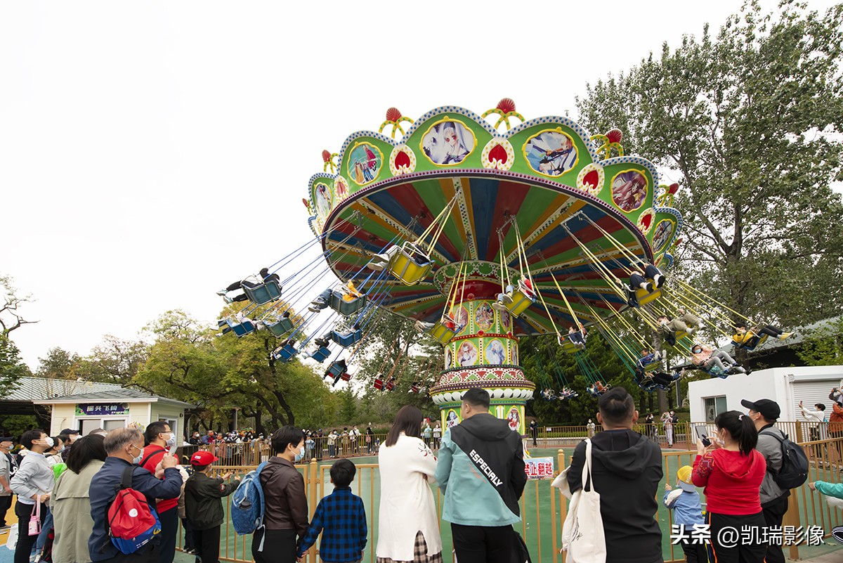 十月一青岛中山公园游玩攻略,国庆青岛中山公园游玩攻略