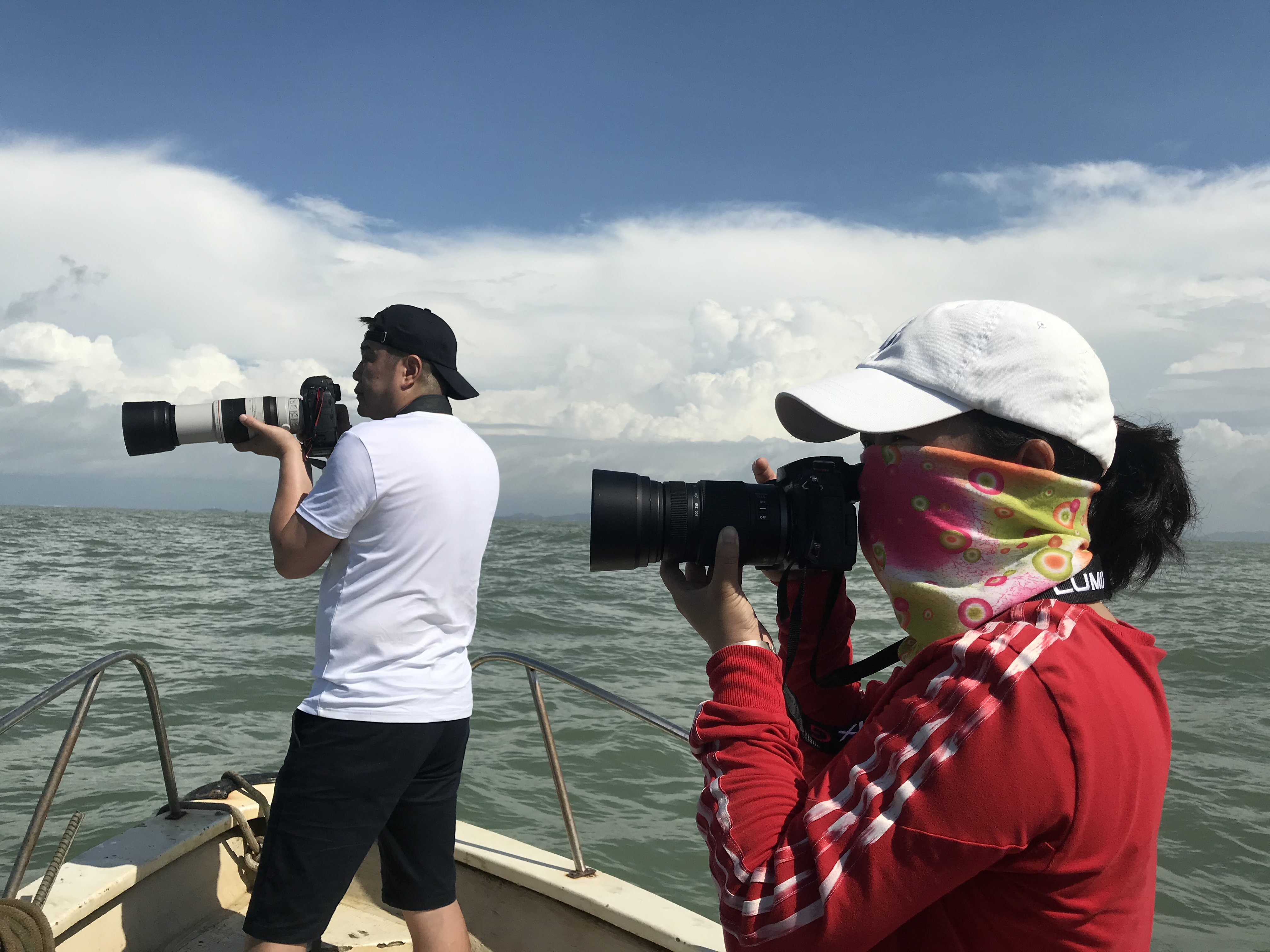 「有片」遇见桂地他们有故事|守护白海豚一家两代破解世界级难题