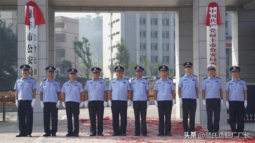 大案纪实云南旅馆电击抢劫杀人案,云南抢劫杀人案真实故事