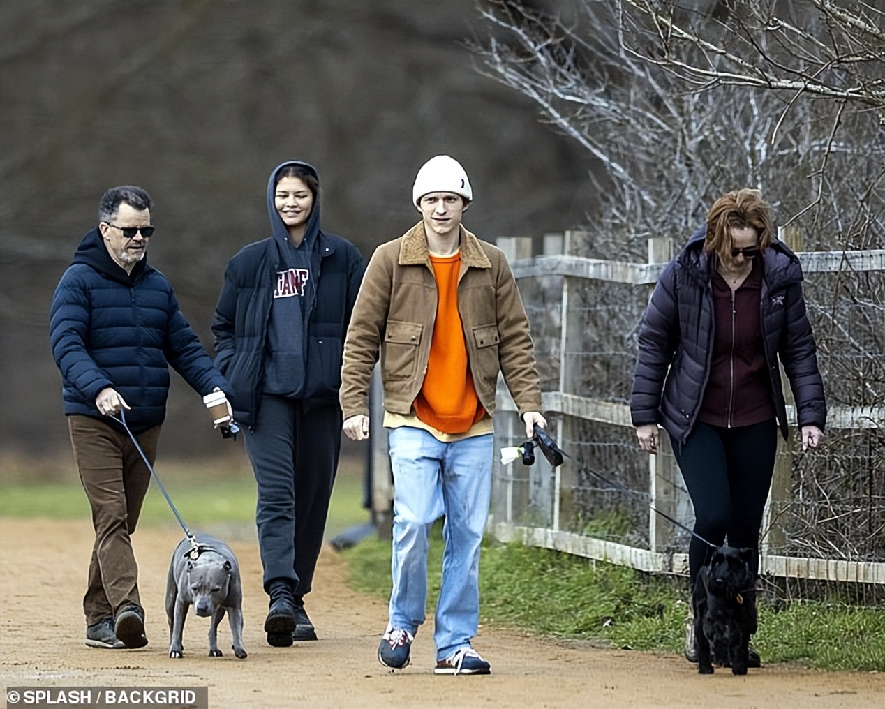 赞达亚和荷兰弟蜘蛛侠第一次见面,蜘蛛侠赞达亚全身照