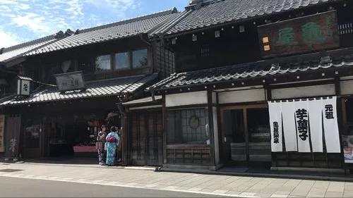 日本的幕府政治制度模式,日本幕府统治危机原因