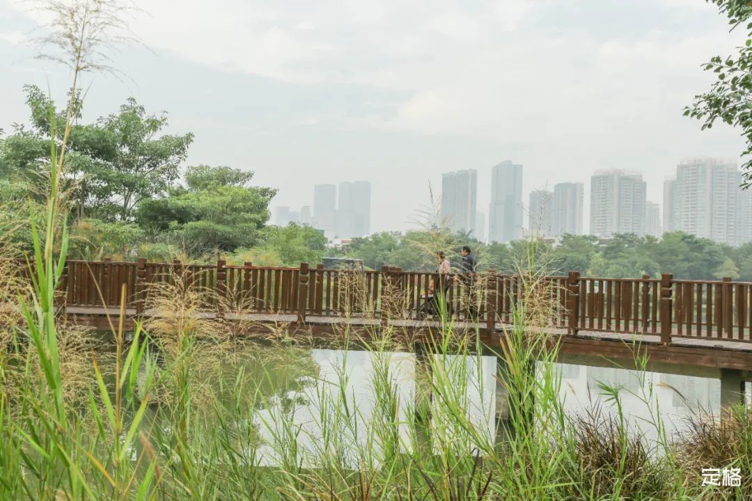 深圳值得去的70个公园你去过几个,深圳最值得去的七大主题公园