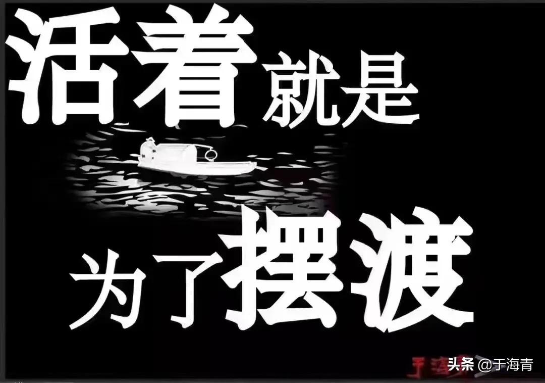 于海青简介,于海青是干什么的