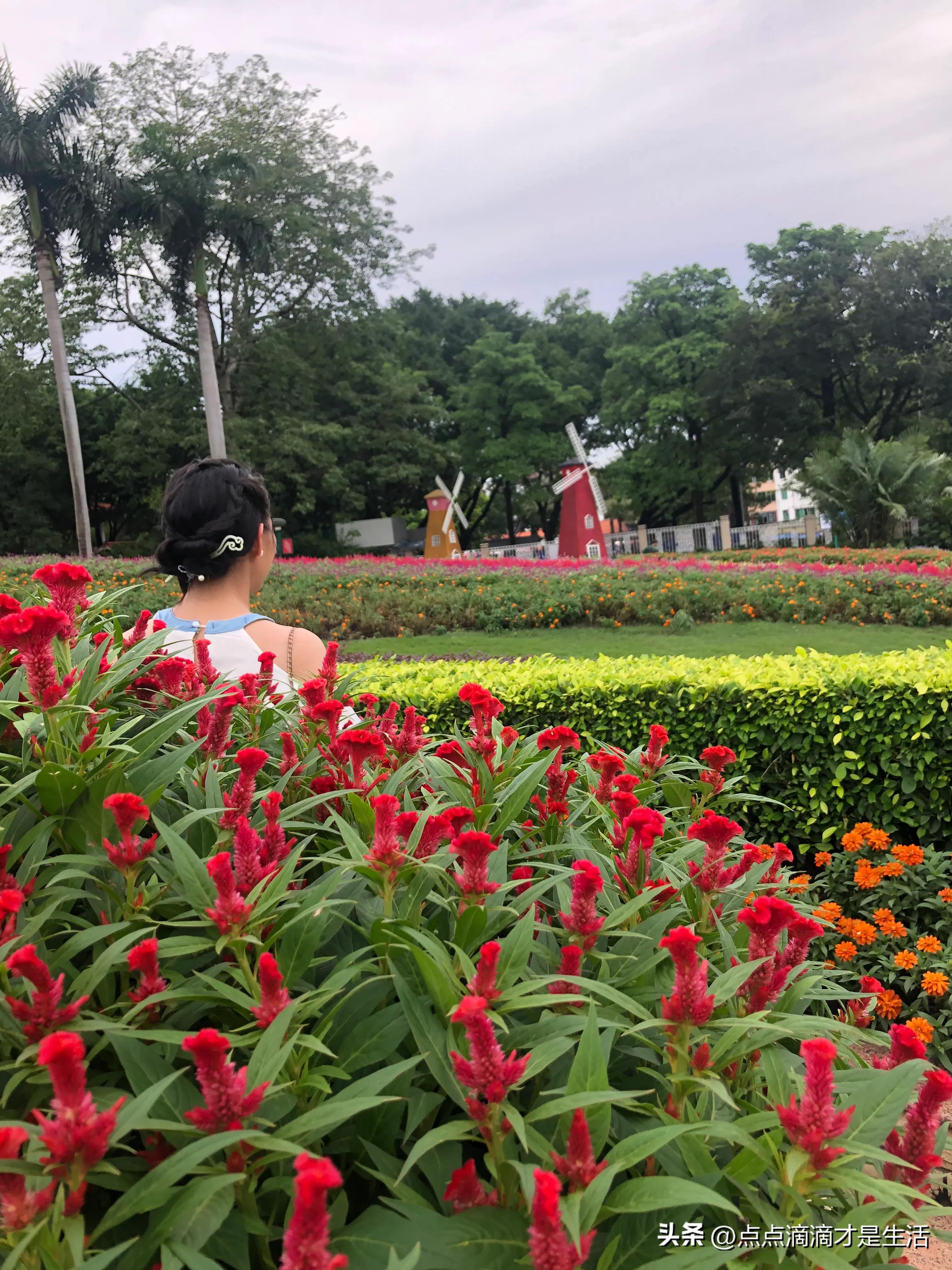 广州云台最美的花园,广州白云云台花园拍照