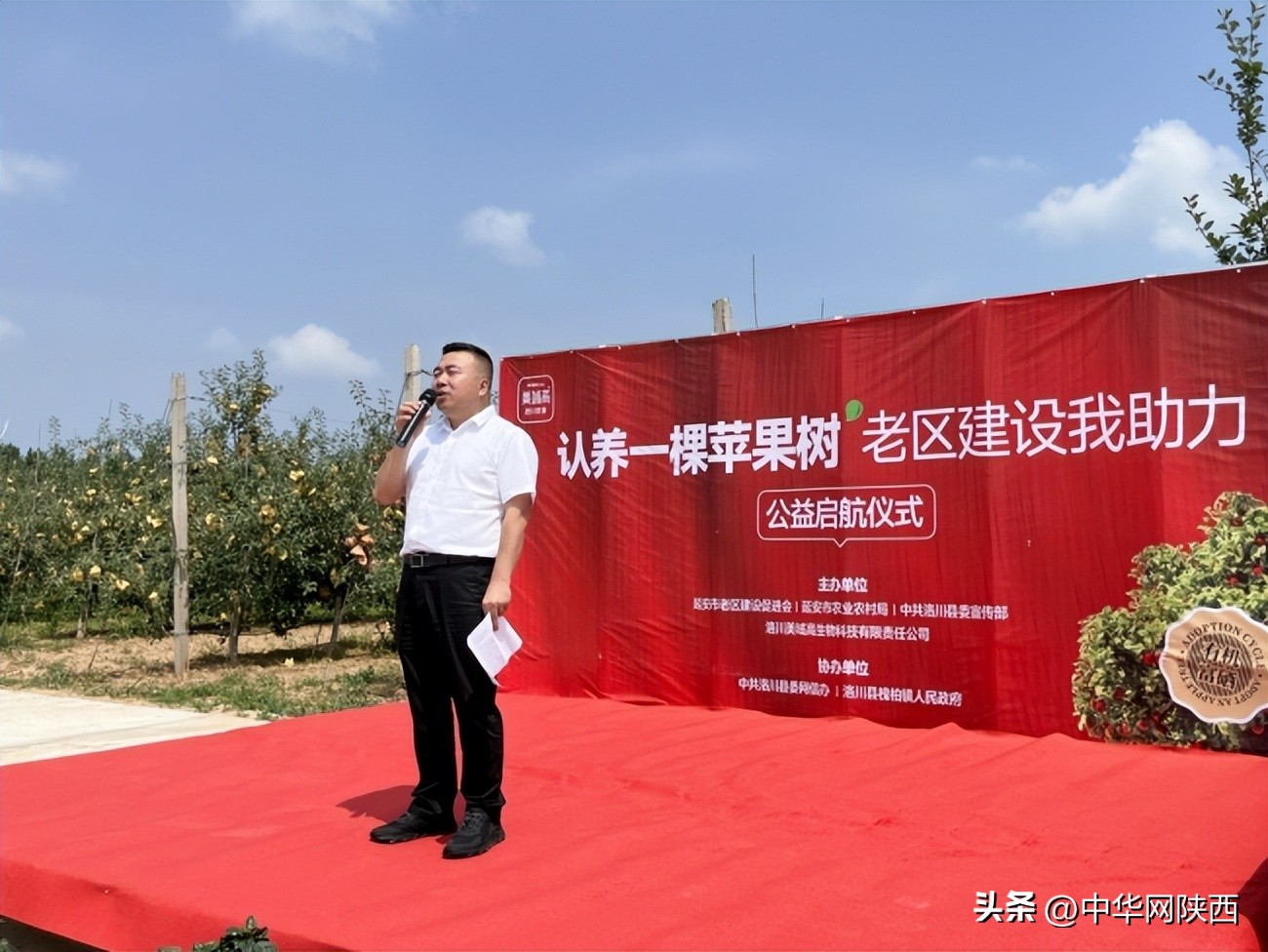 益起来公益捐步截图,益起来种树