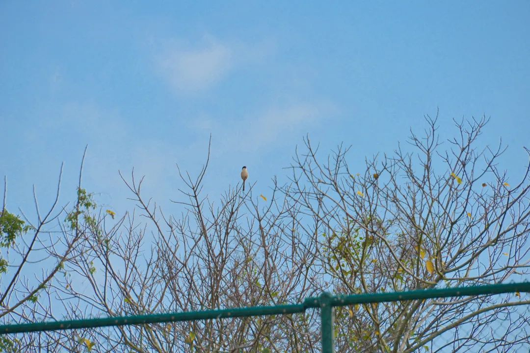 深圳市携创高级技工学校学费2021,深圳携创高级技工学校校区