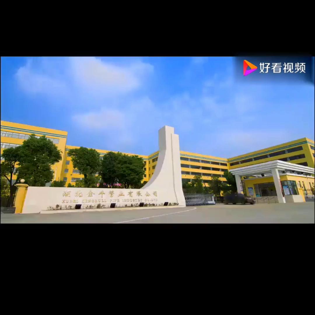 金牛管的实力,金牛管贵吗