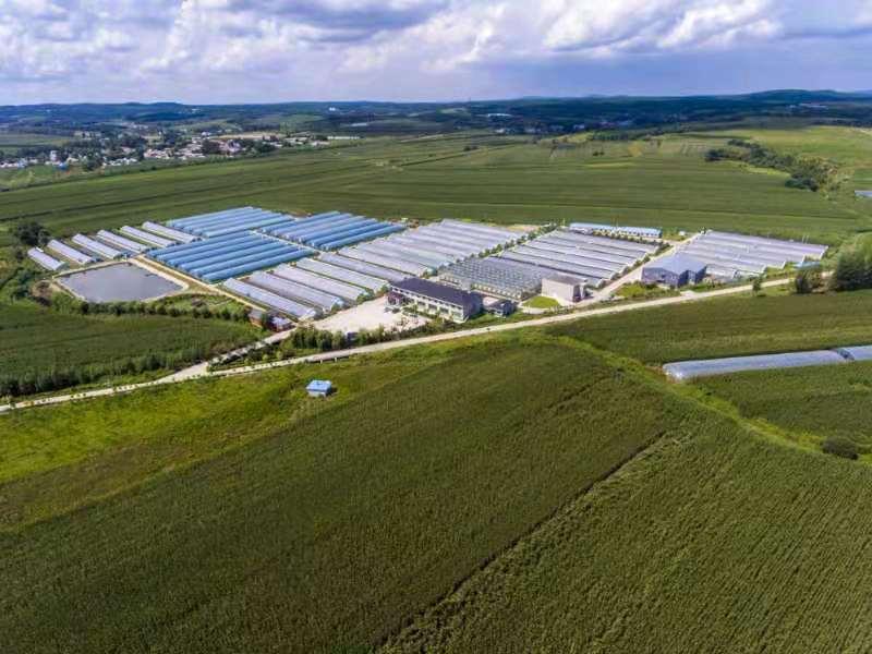 长春的秋天风景,长春周边一日游的绝佳去处秋天