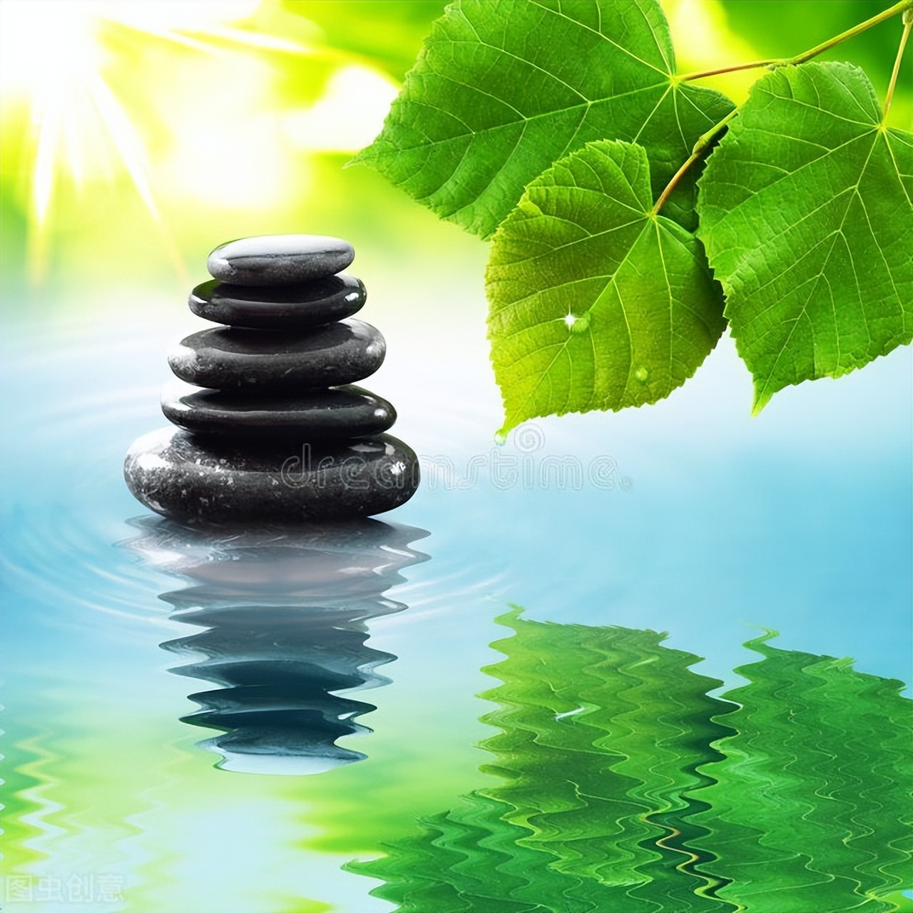 做人择善而行图片,做人择善而交择诚而处