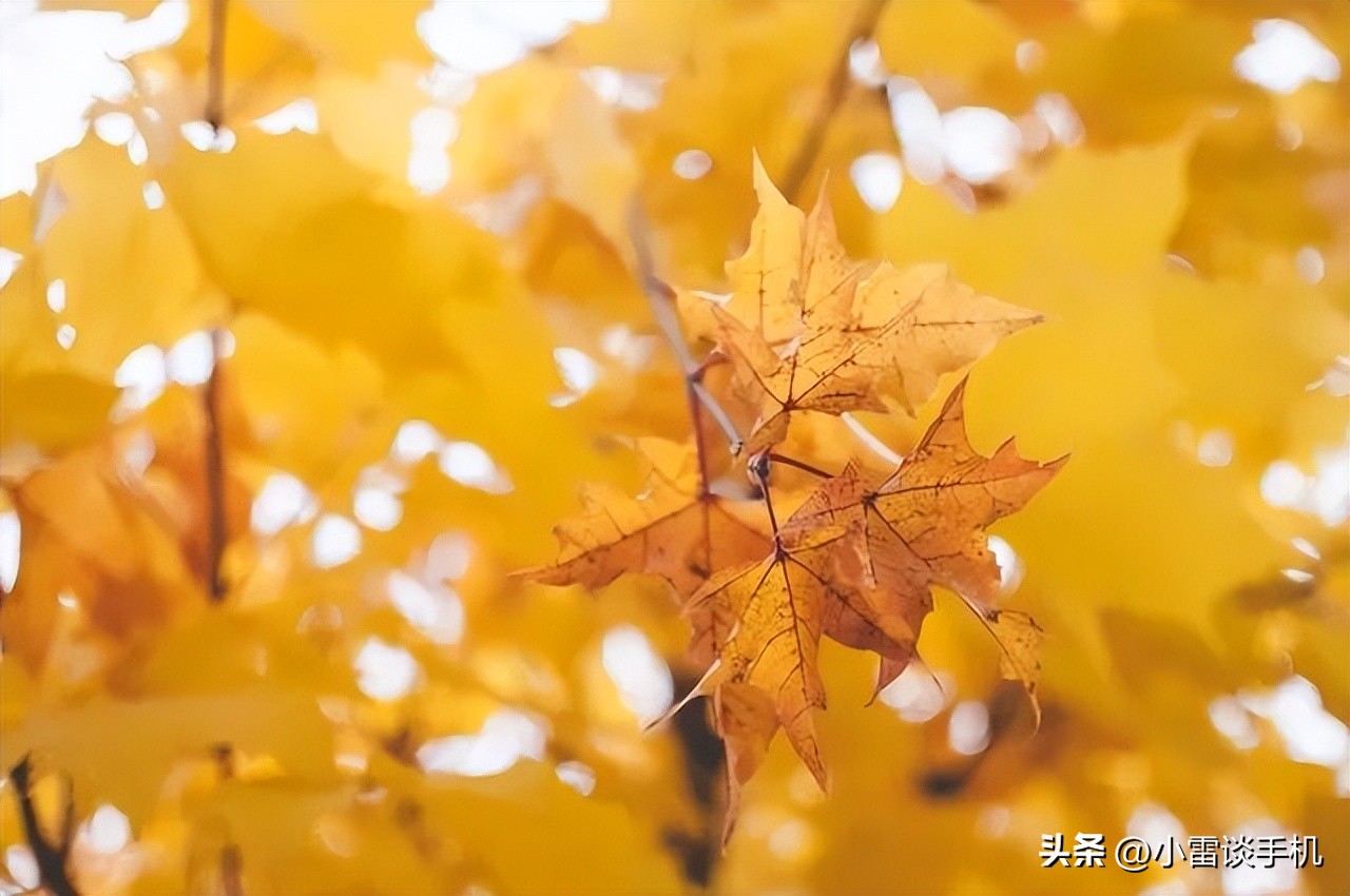 2020年九月份笔记本电脑推荐,23年开学季笔记本电脑推荐