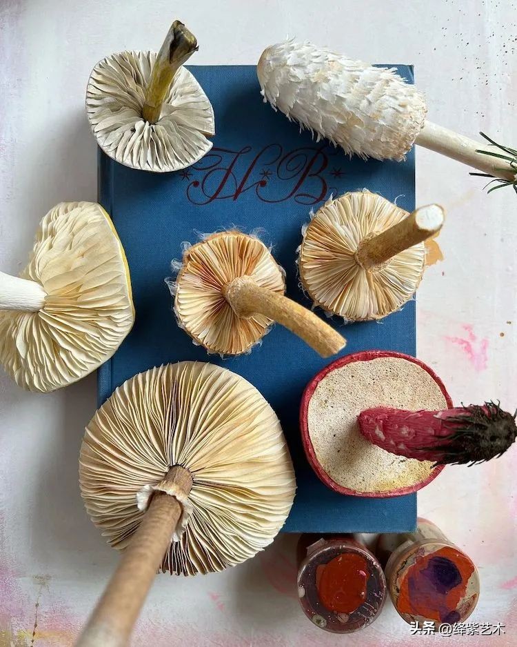 以假乱真的纸蘑菇,以假乱真纸制蘑菇