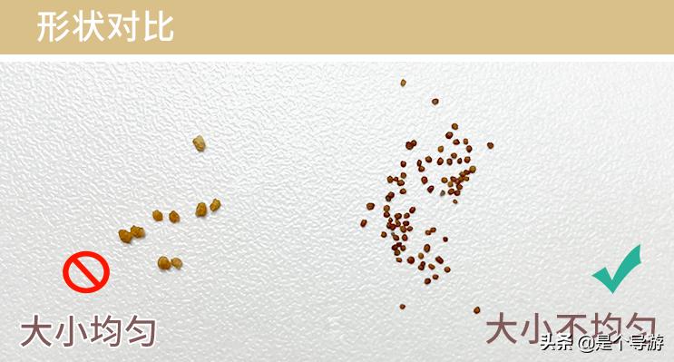 海藻面膜颗粒是海里生长的吗,海藻面膜是大海藻还是小海藻