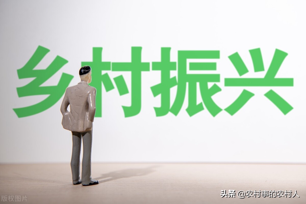 适合普通人投资创业的四个项目,靠谱创业投资项目有哪些