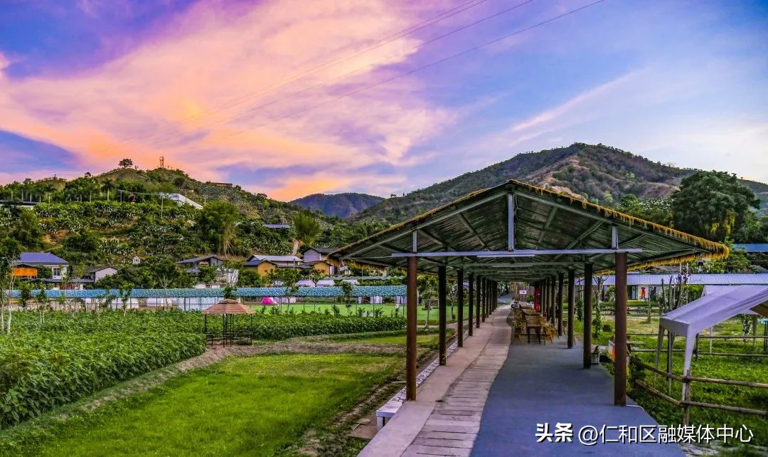 鍏卞瘜瀹炶返瑙嗛,浠ユ梾淇冨啘鍔╂帹涔℃潙鎸叴