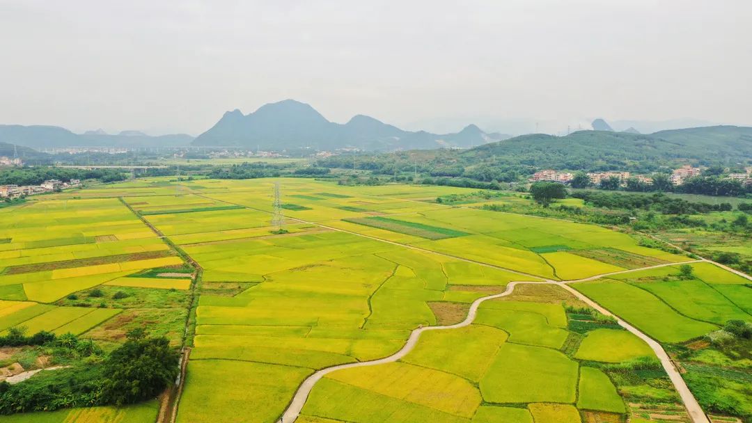 韶关秋天哪里有美景,韶关秋天美景
