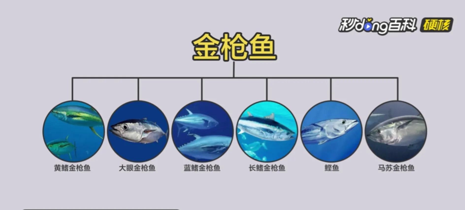 广东渔民捕获大鱼,渔民出海捕到一条106斤的鱼王