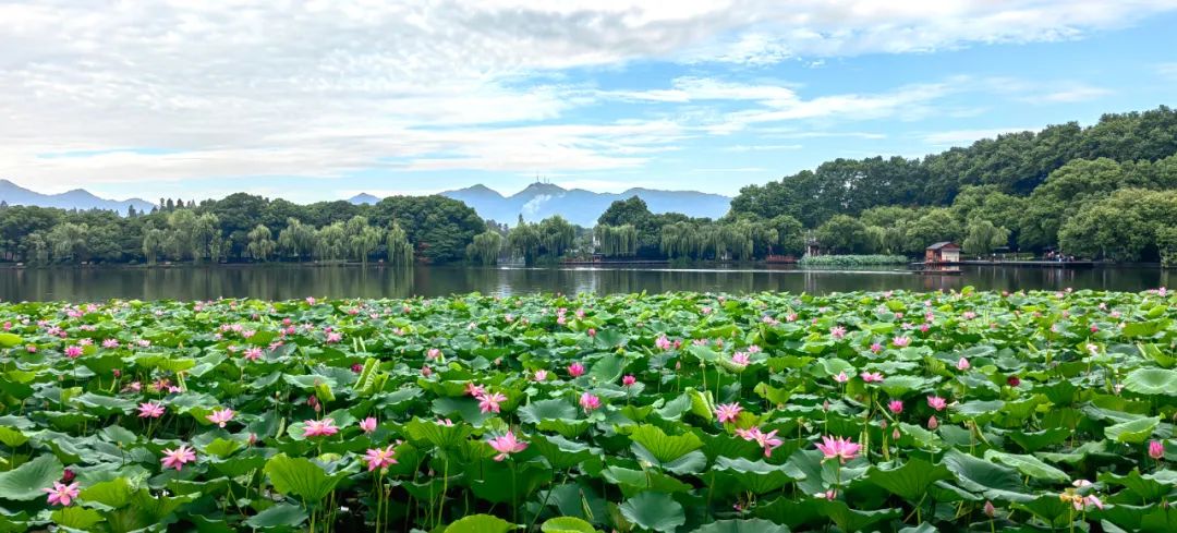 2022杭州伏天几号,2023年杭州什么时候入伏